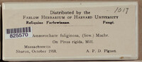 Image Associated With the Occurence